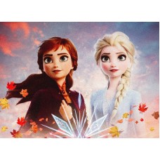 381520 Vafa Frozen 2 Anna si Elsa 30x20cm